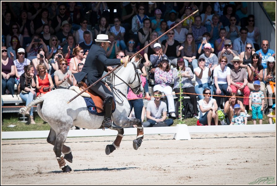 Pferd International 082